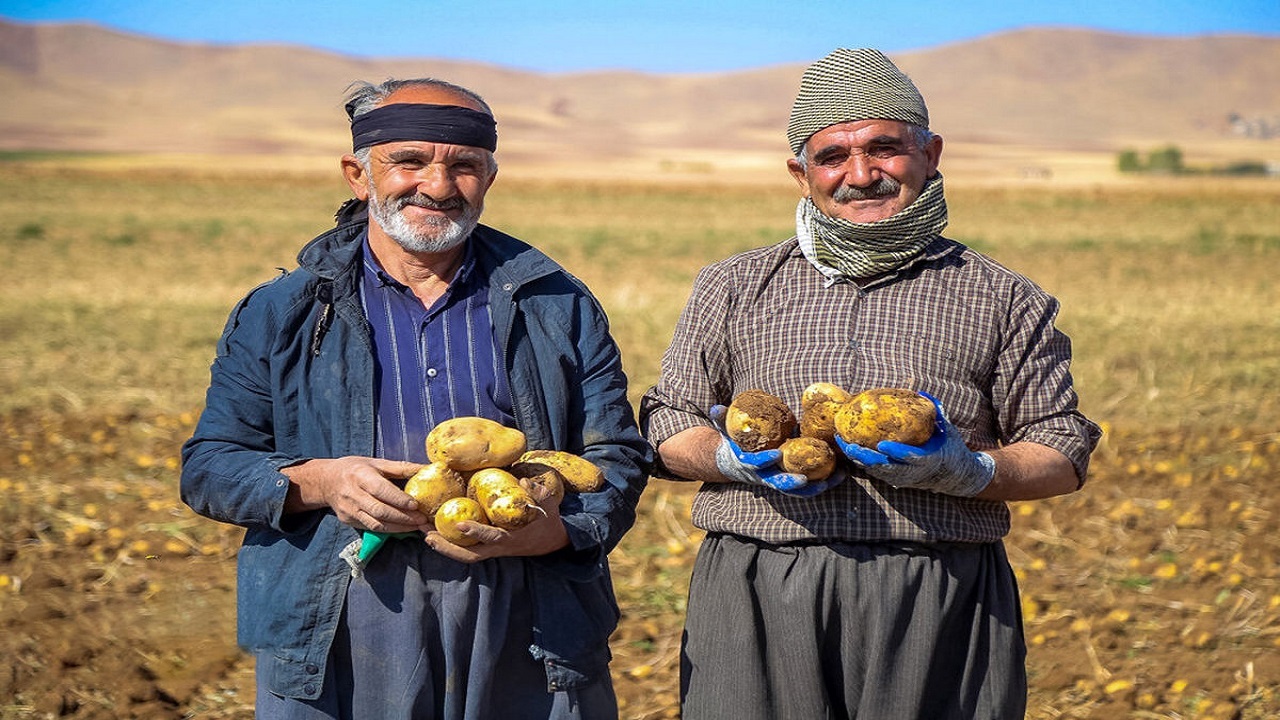باید فضا را برای عرضه مستقیم محصولات کشاورزان فراهم کنیم