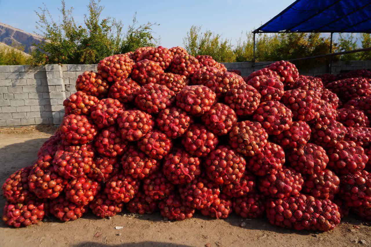 کیسه های انار