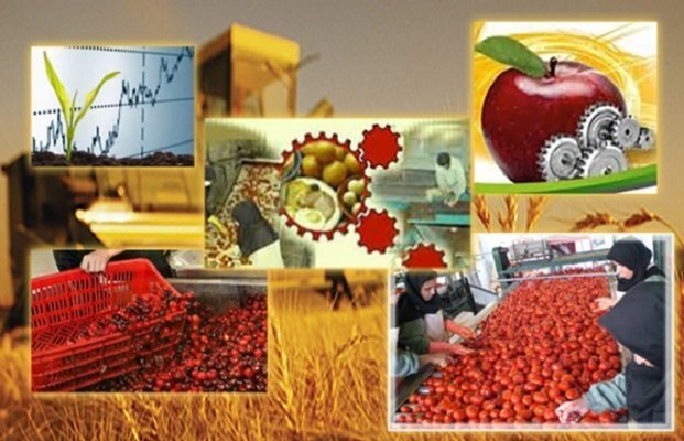 برگزاری همایش ملی سرمایه‌گذاری کشاورزی در همدان