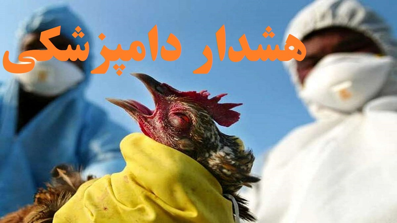 آنفلوآنزای فوق حاد پرندگان در کمین است