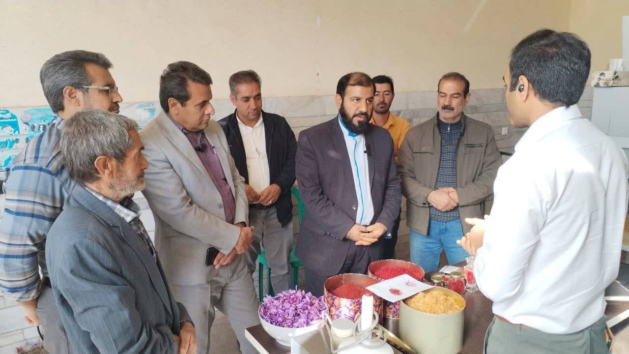 از کشاورزانی که الگوی کشت را رعایت کنند، حمایت می کنیم