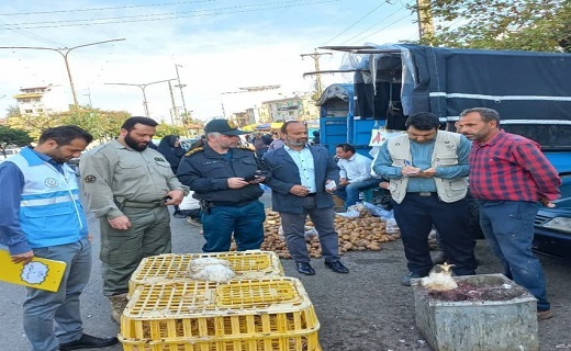 آنفلوانزای پرندگان در کمین بازار&zwnj;های محلی شفت