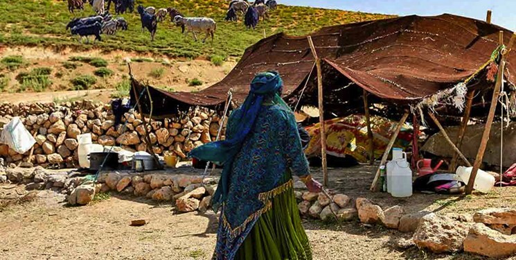 تسهیلات مشاغل غیر از دامداری به عشایر همدان پرداخت می‌شود