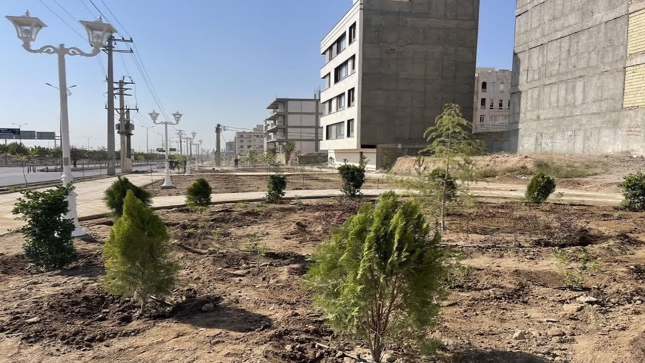 کاشت بیش از ۱۶ هزار اصله درخت و درختچه در قزوین 