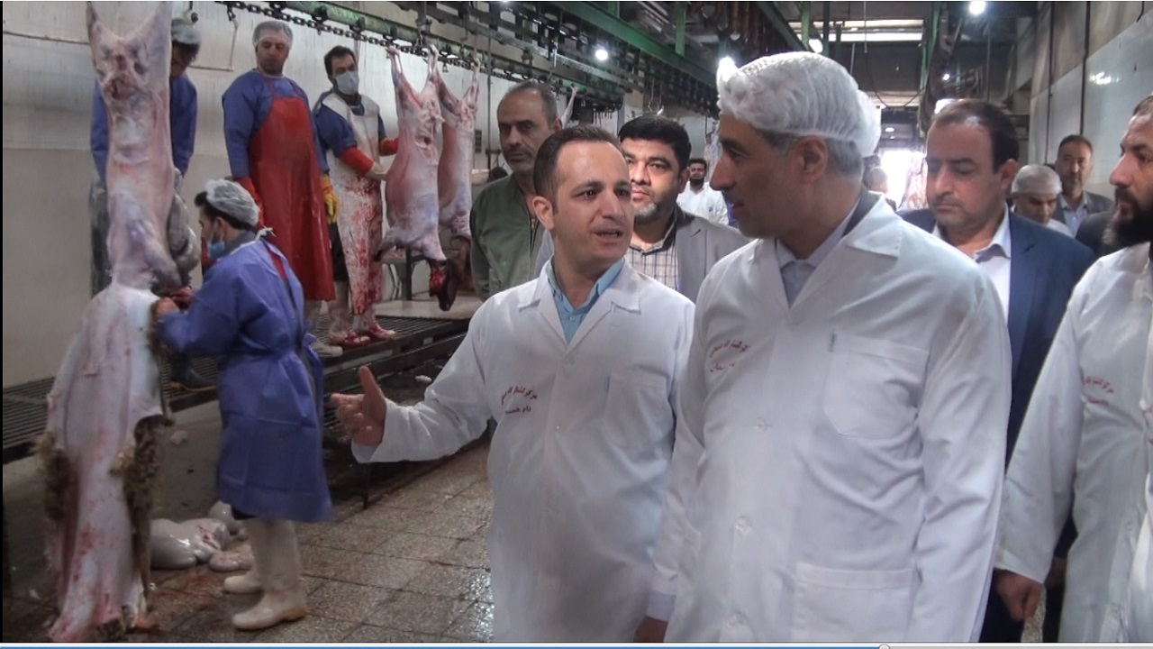 میدان دام ویژه عشایر در همدان ایجاد شود