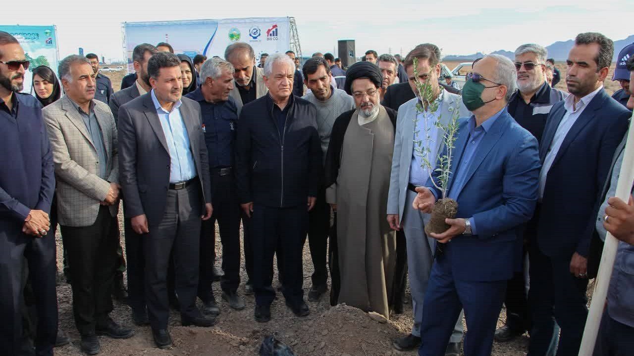 آغاز طرح مردمی کاشت درخت در کرمان 