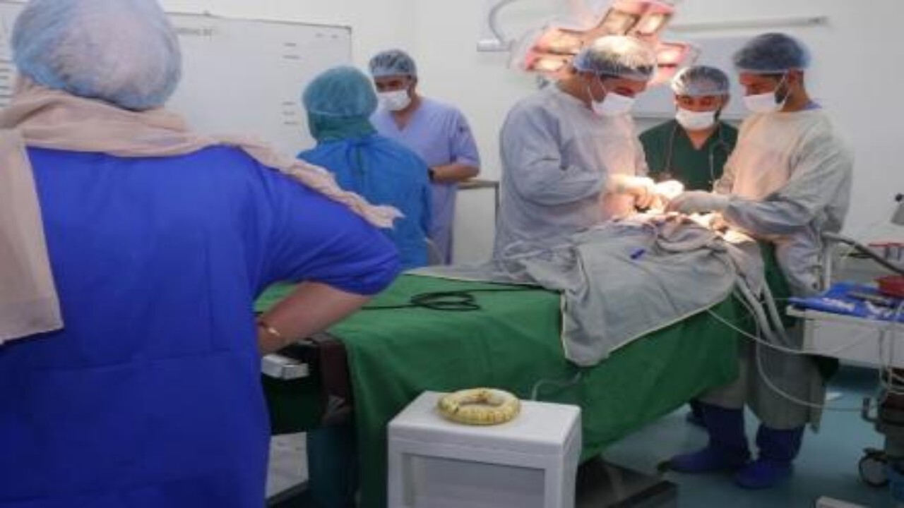 آغاز درمان رایگان بیماران لب چاک در بامیان