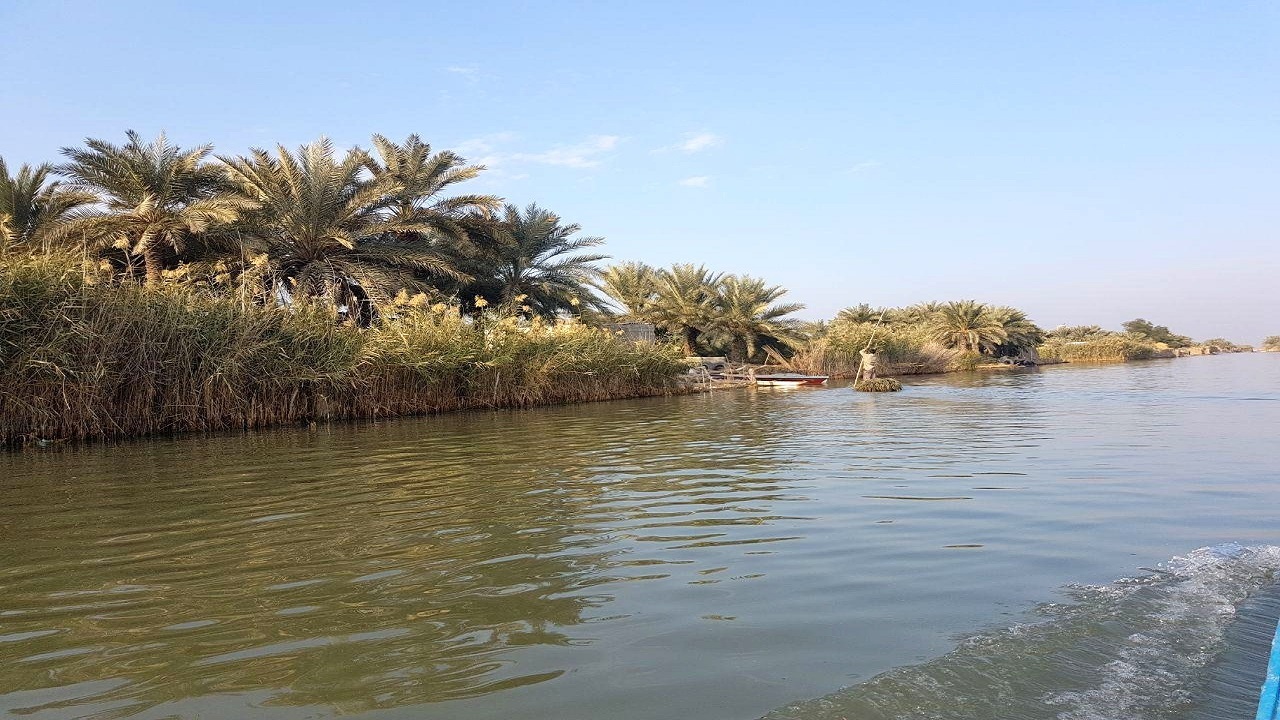احداث ۳ سد در بالادست نخیلات دشتستان و تنگستان