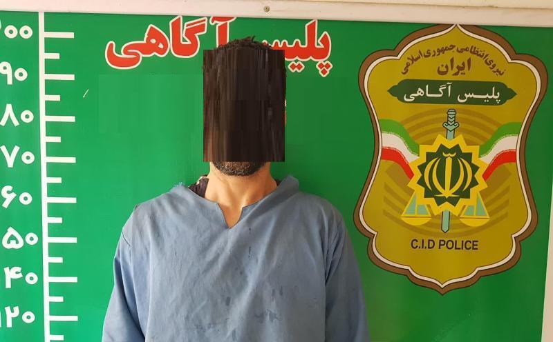 دستگیری سارق غیربومی با ۴۳ فقره سرقت منزل در ساری