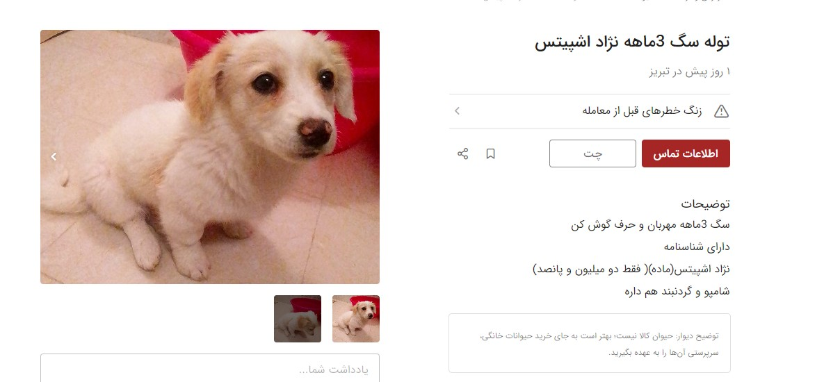 فروش توله سگ سه ماهه