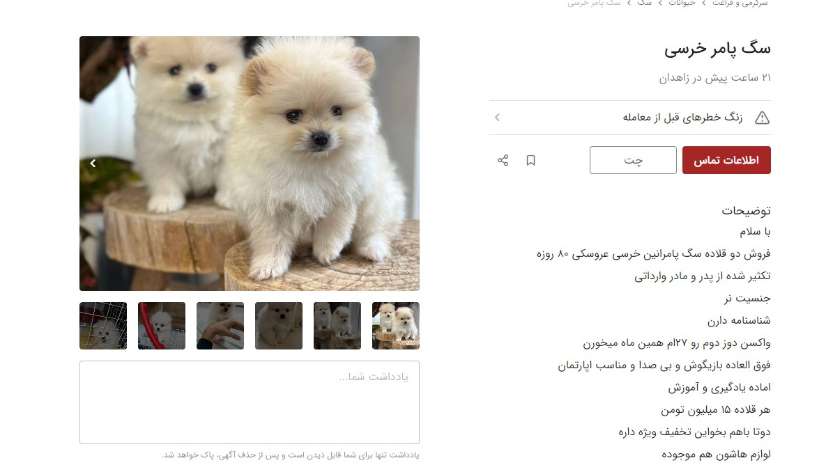 فروش توله سگ سه ماهه