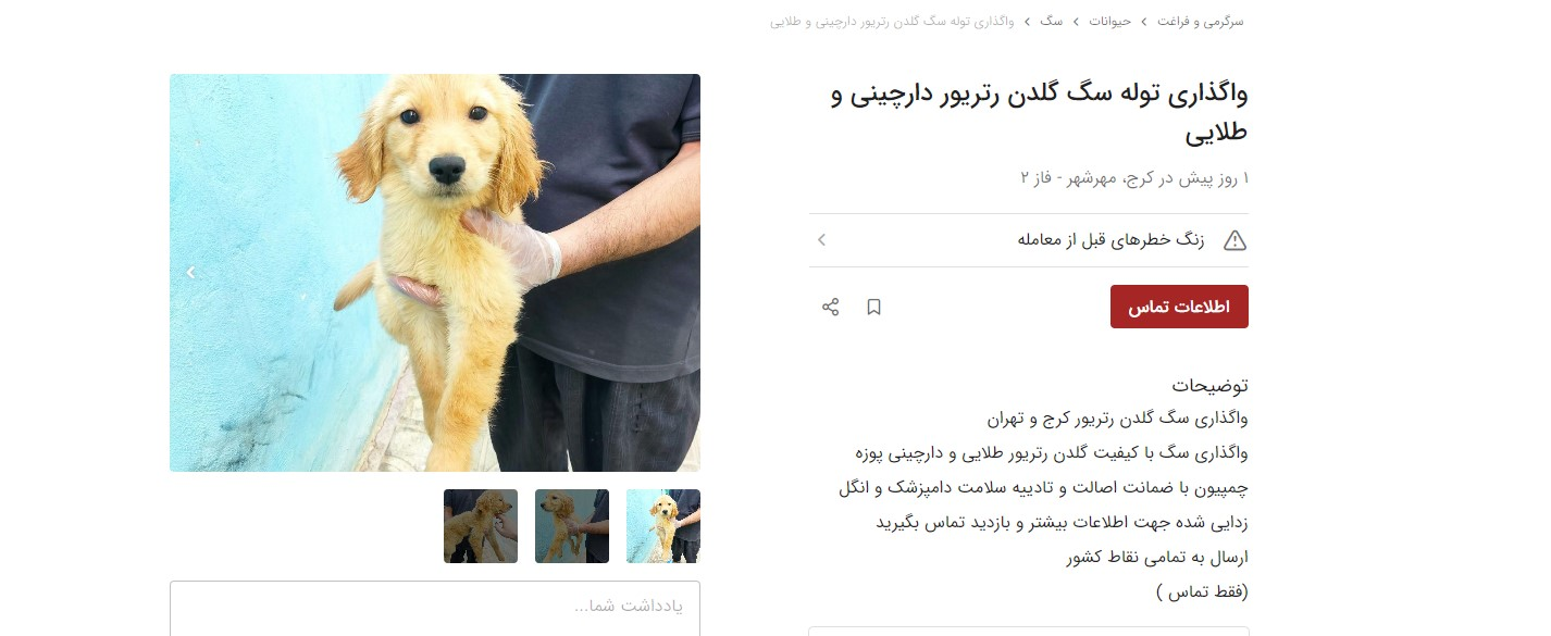 واگذاری توله سگ