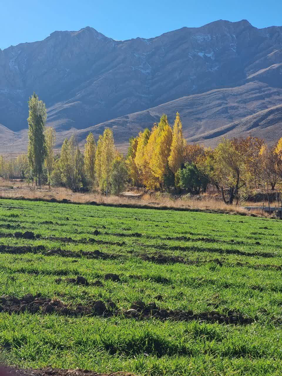 طبیعت پاییزی در افوس