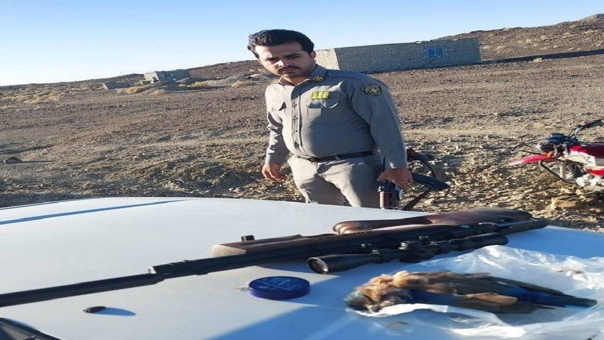 دستگیری دو متخلف شکار وصید غیرمجاز در مهرستان
