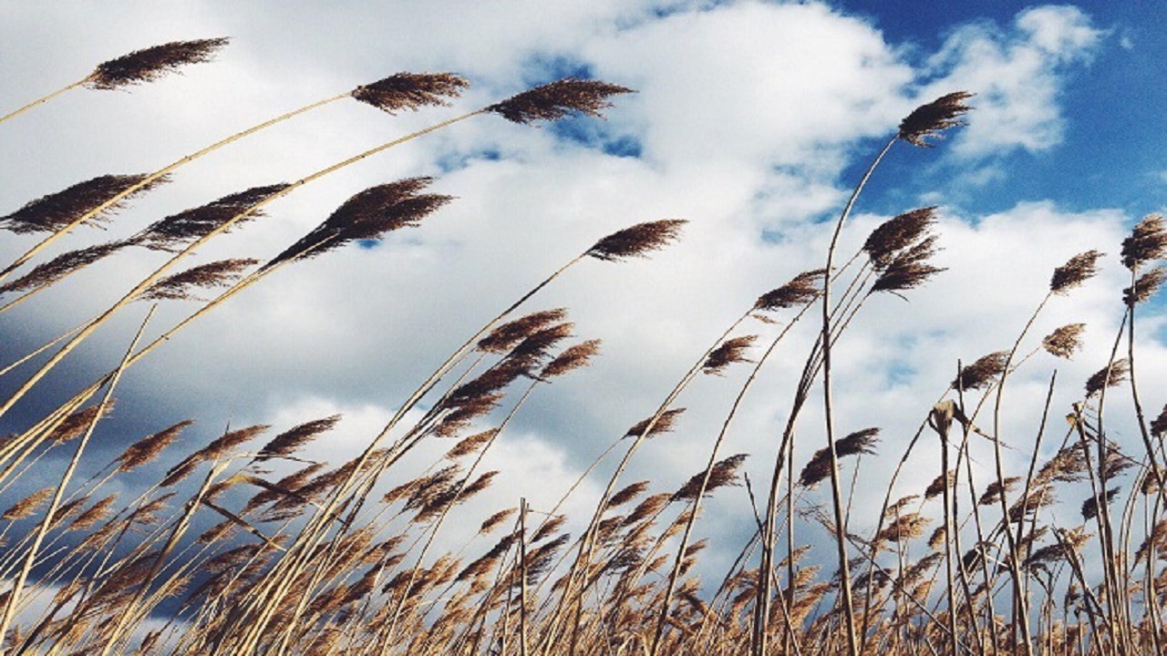 آسمان ابری و وزش باد مهمان آخر هفته استان قزوین 