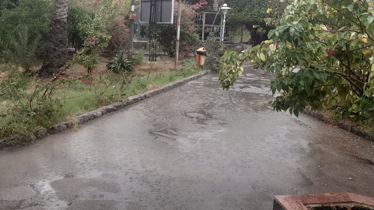 بارش باران در هرمزگان +فیلم