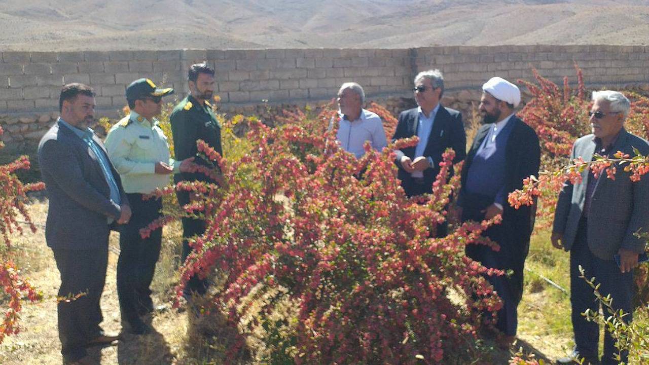 لزوم ارائه اعتبارات کم بهره و  تشکیل شرکت تعاونی برای کشاورزان کوهبنانی