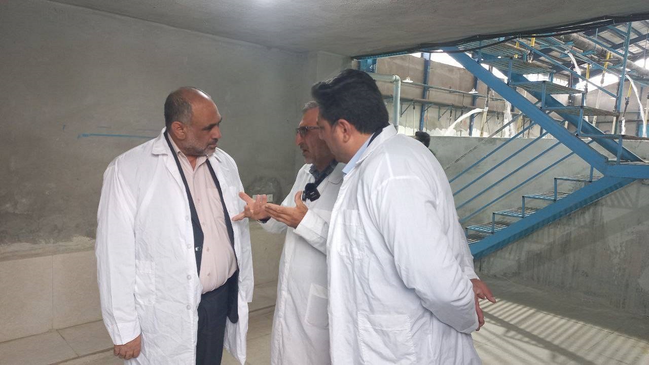 کلنگ زنی مجتمع گلخانه‌ای و دامپروری گندمان