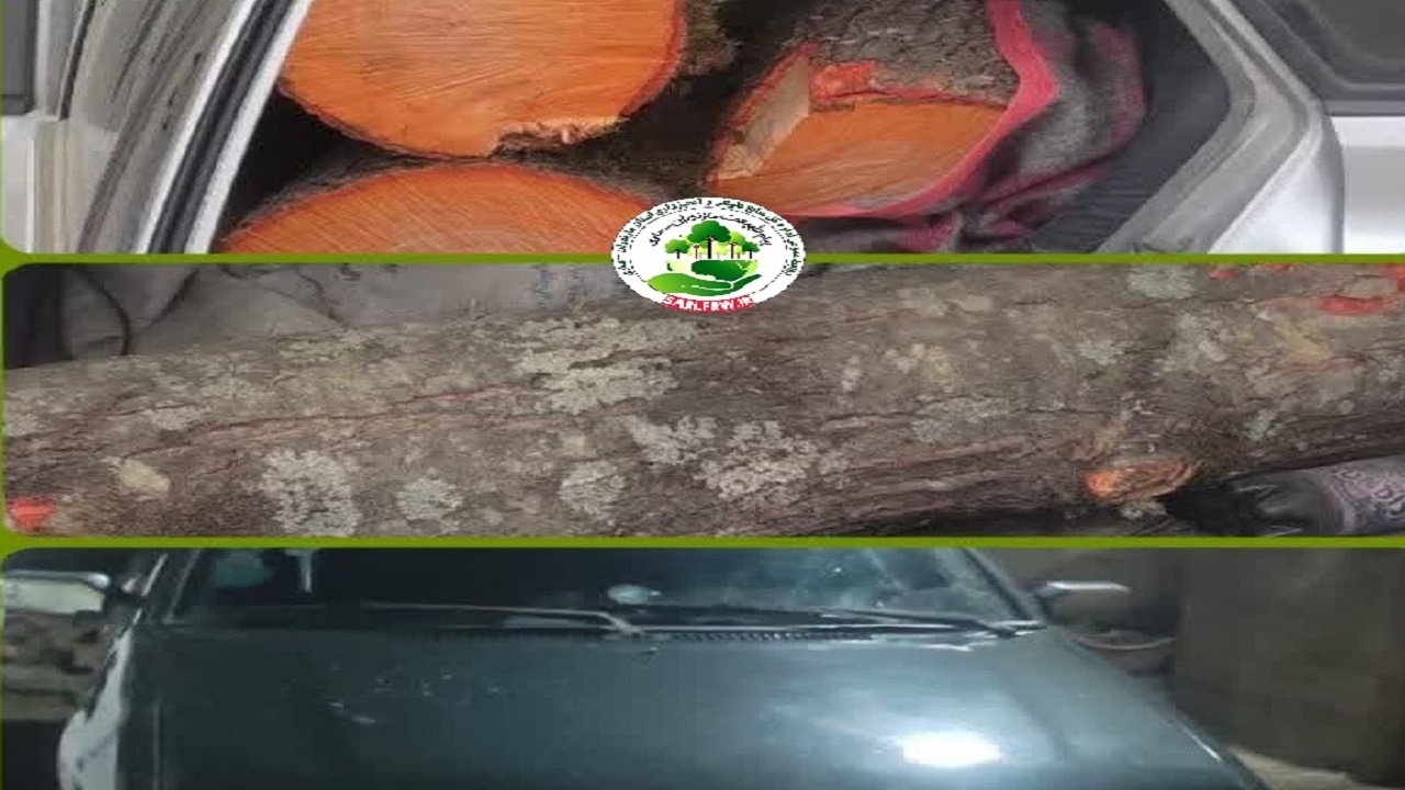 حمل چوب آلات قاچاق جنگلی با پراید
