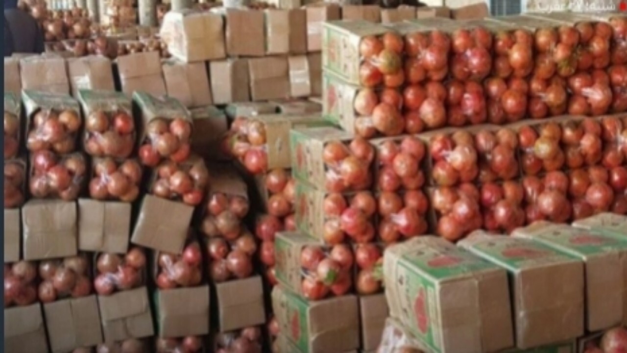 صادرات انار افغانستان به خارج از کشور