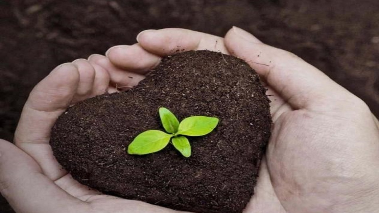 خاکی سالم برای تولید غذایی سالم