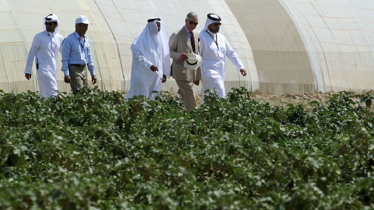 ارتباط کشاورزی ومعدنی کرمان با قطر