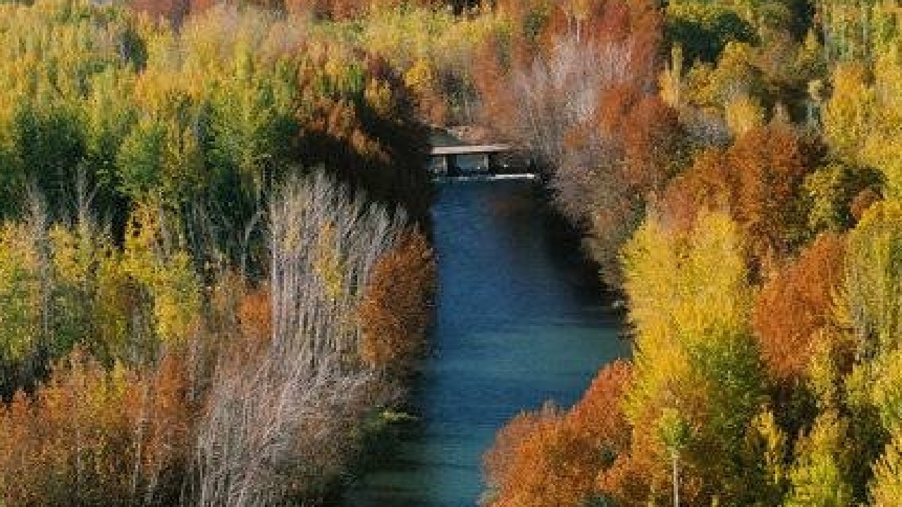 هارمونی رنگ‌ها در پاییز چهارمحال و بختیاری