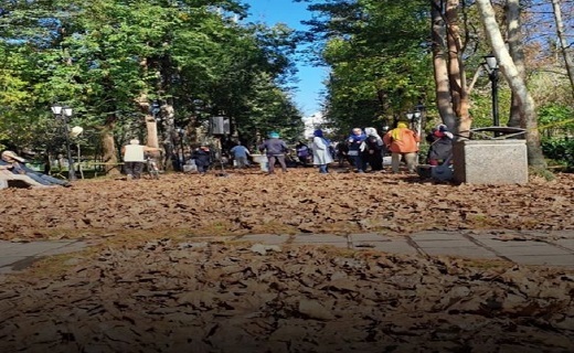 تصاویری از جشنواره پاییز برگ در باغ محتشم رشت