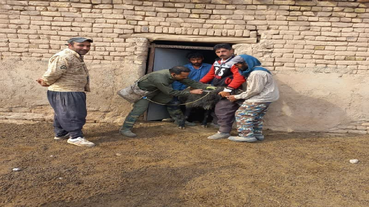 برگزاری اردوی جهادی در مناطق کمتر برخوردار آبیک          