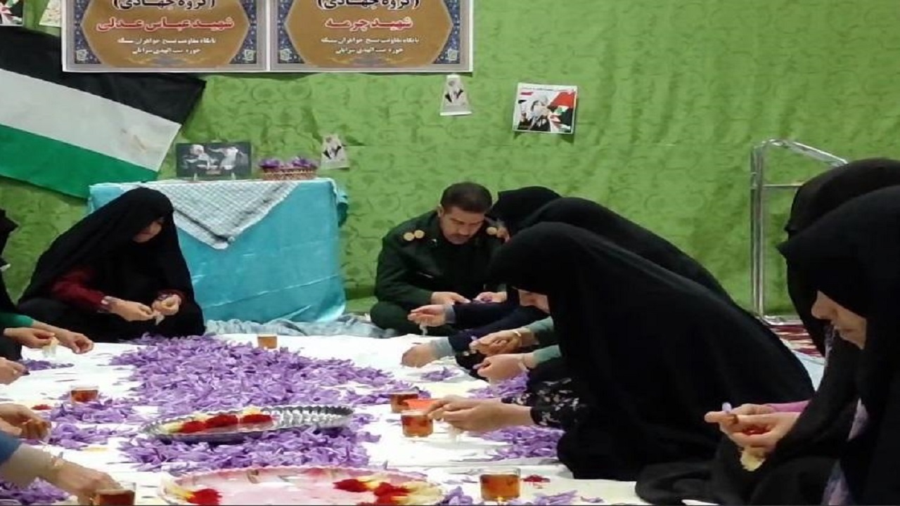 مشارکت جهادگران در پر کردن گل‌های زعفران