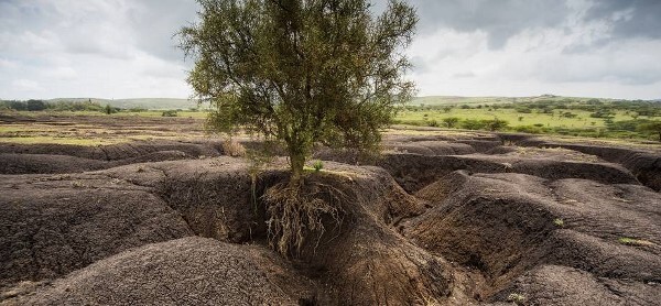 فرسایش خاک تهدیدی برای کشاورزی خراسان شمالی