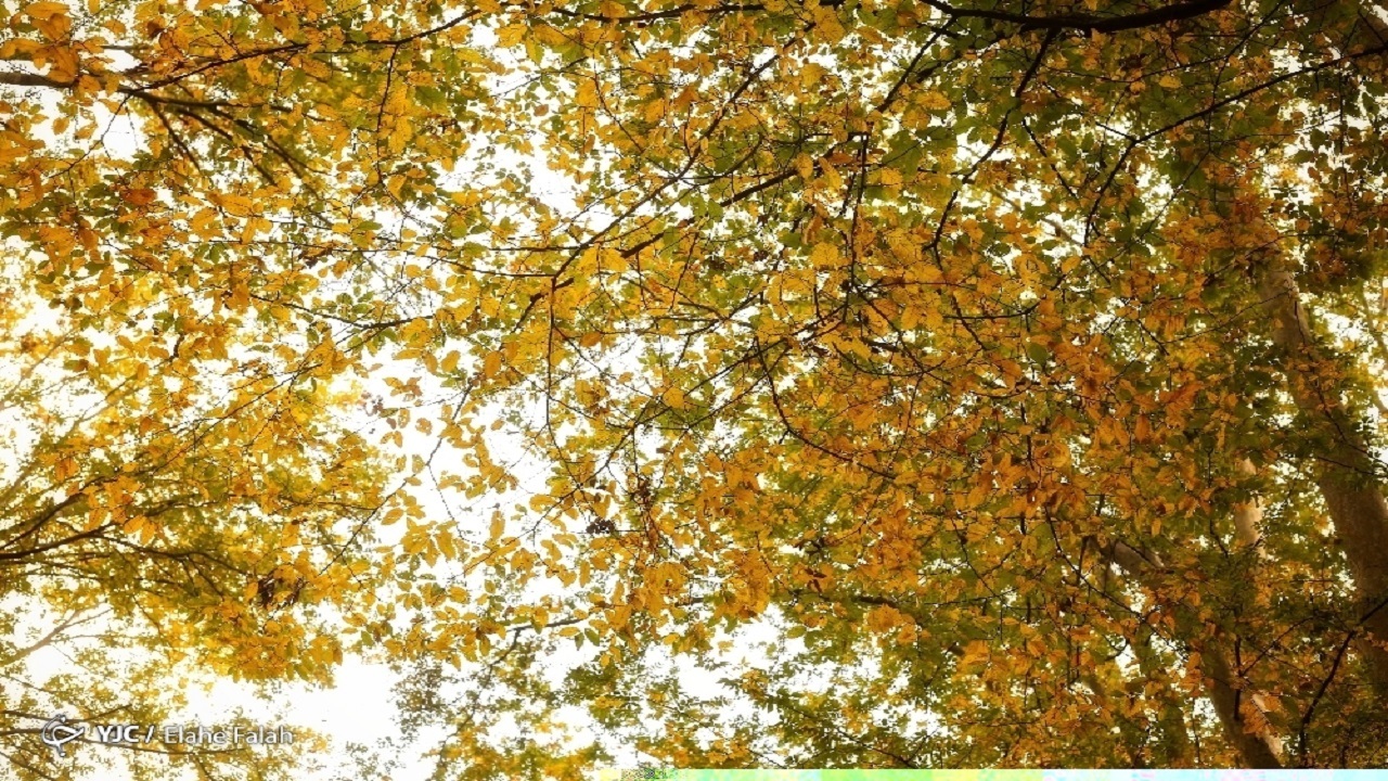افزایش ۳ تا ۵ درجه‌ای دمای هوای گیلان