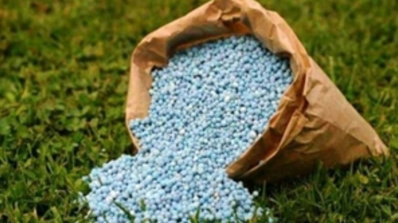 توزیع کودهای شیمیایی در بین کشاورزان در حال انجام است