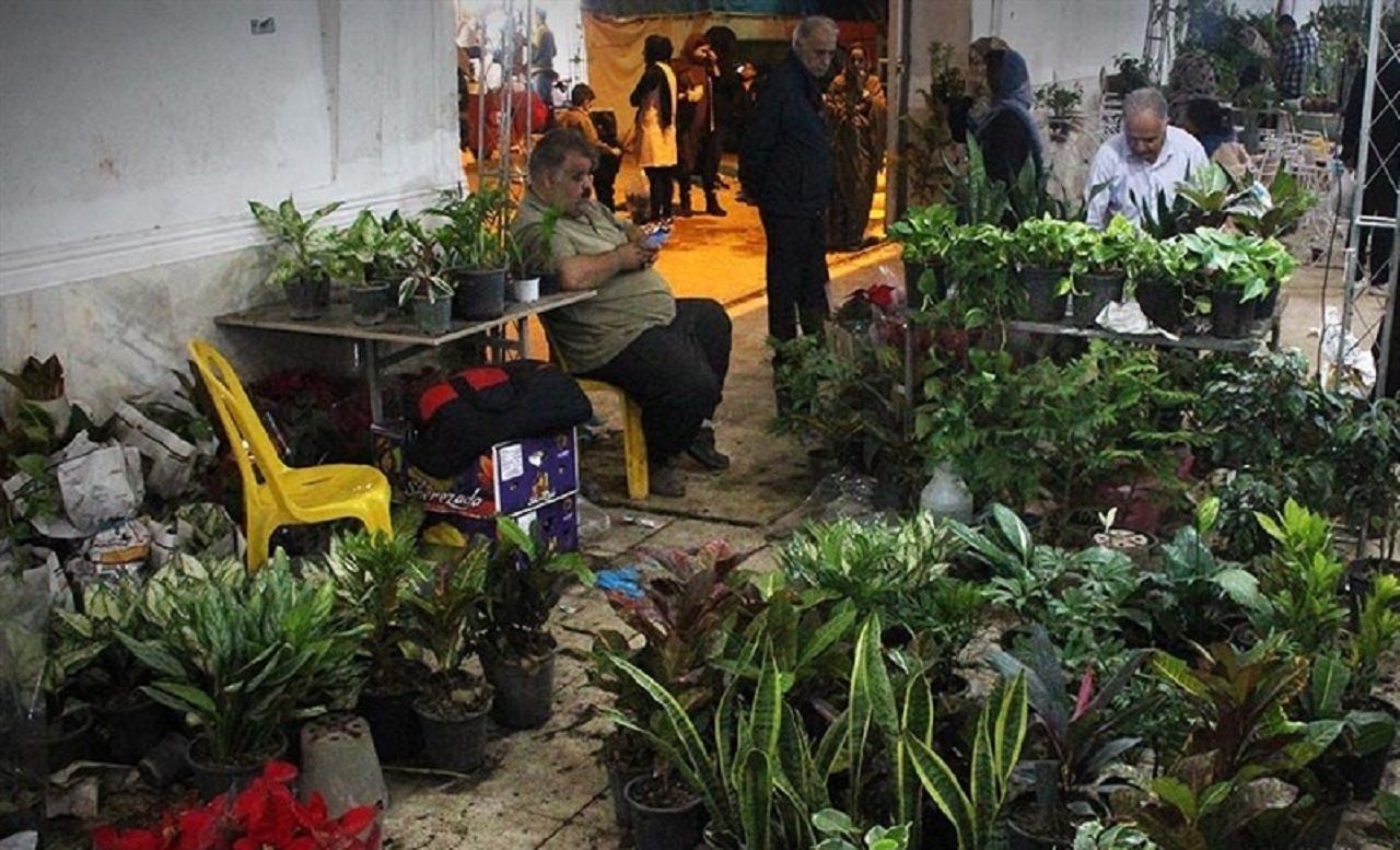 برپایی نمایشگاه گل و گیاه در بندرعباس