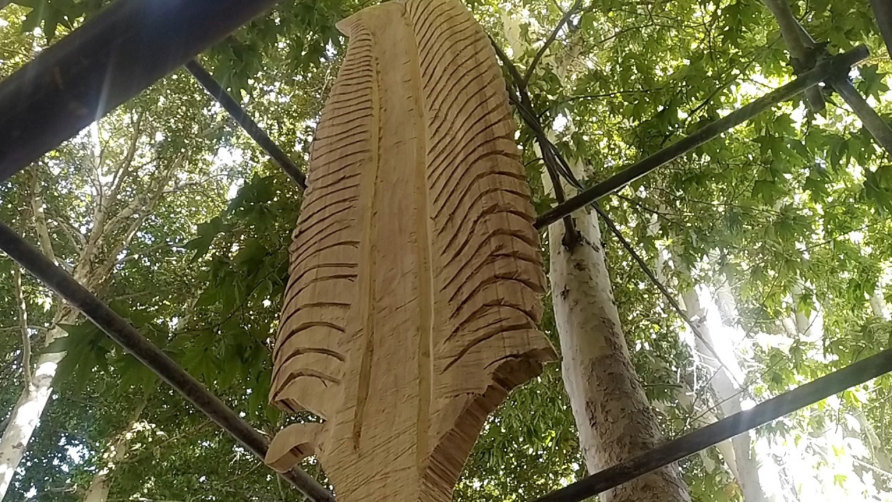 هنرمندی که به درختان جان می‌بخشد