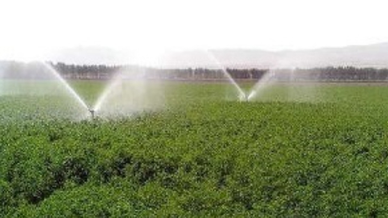 افزایش ۳۰ درصدی بهره وری آب با توسعه سامانه های نوین آبیاری