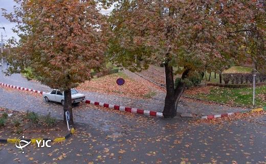 طبیعت چشم نواز پاییزی در سنندج + تصاویر