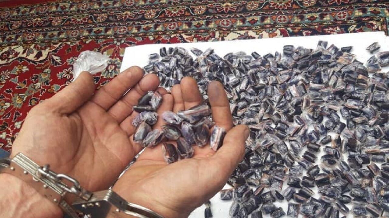 ۲۷۵بسته مواد مخدر از یک سوپر مارکت در مشهد کشف شد