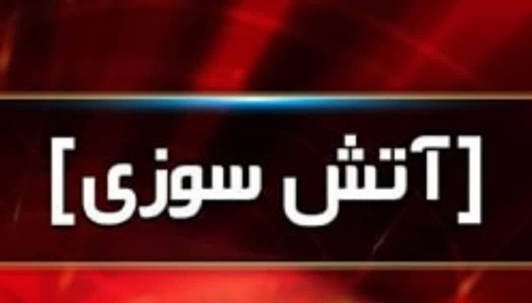 آتش سوزی در کارگاه  موجب مصدومیت یک نفر و سوختن پنج دستگاه خودرو شد