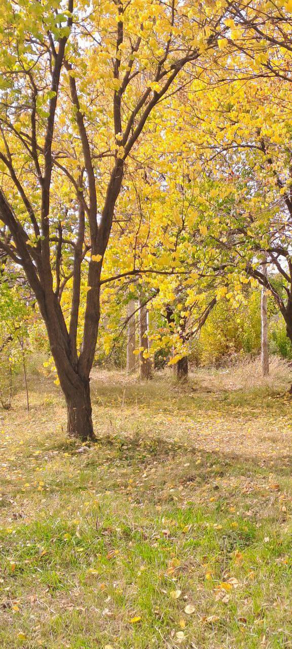 نمایی از طبیعت پاییزی در روستای اوردکلو