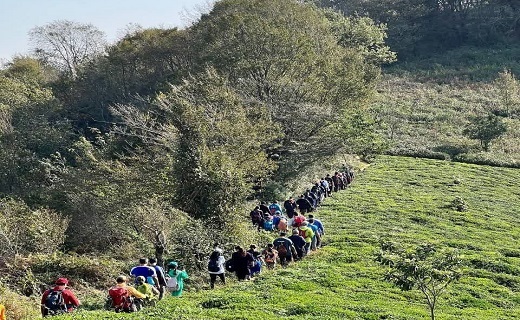 کوهپیمایی ۱۰۰ ورزشکار گیلانی در ارتفاعات لاهیجان