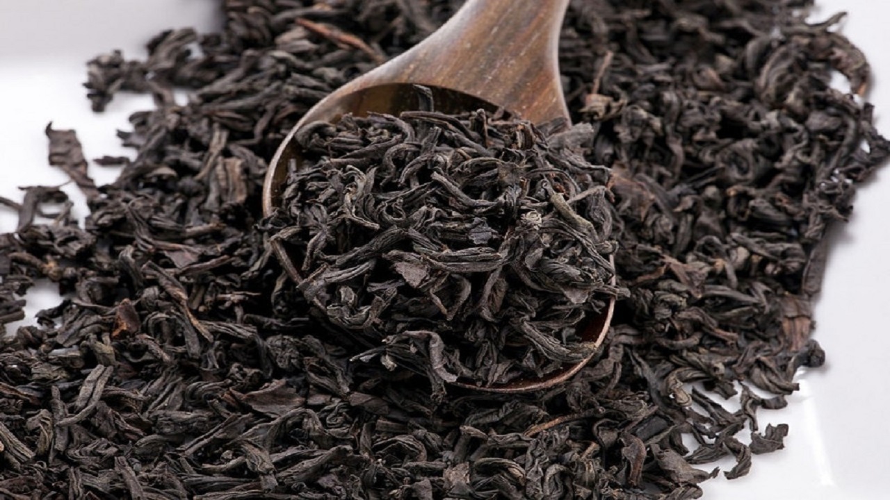 استحصال بیش از ۳۰ هزار تن چای خشک در شمال