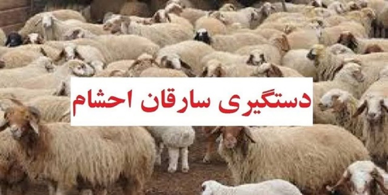 دستگیری سارقان احشام در تیران و کرون