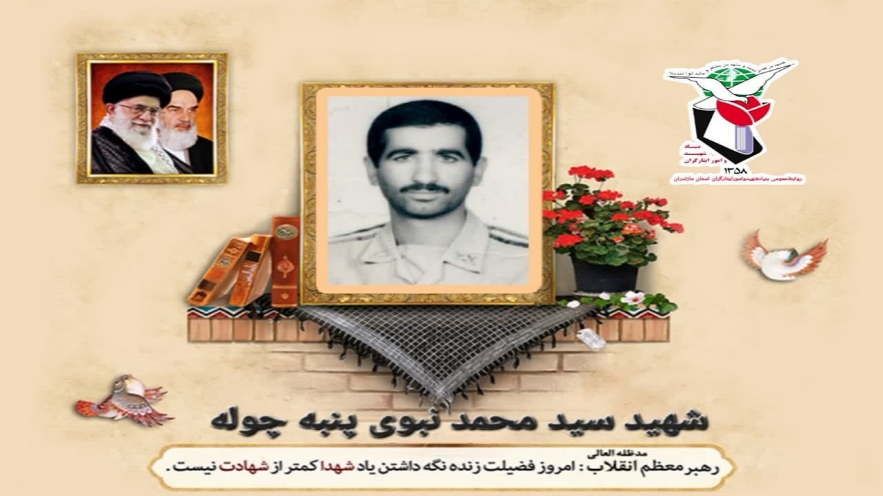 مادر شهید نبوی به فرزند شهیدش پیوست