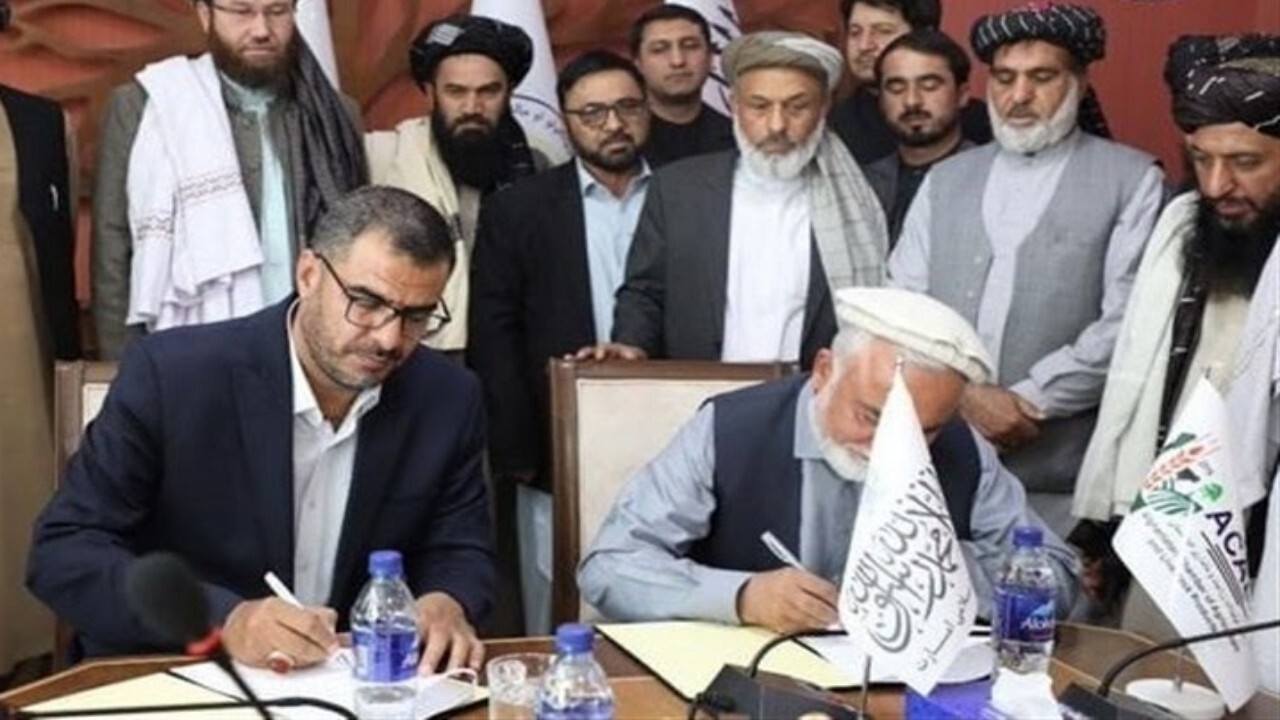 همکاری اتاق کشاورزی افغانستان و مرکز تجاری ایران در کابل