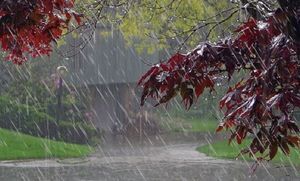 بارش های  رگباری میهمان استان همدان