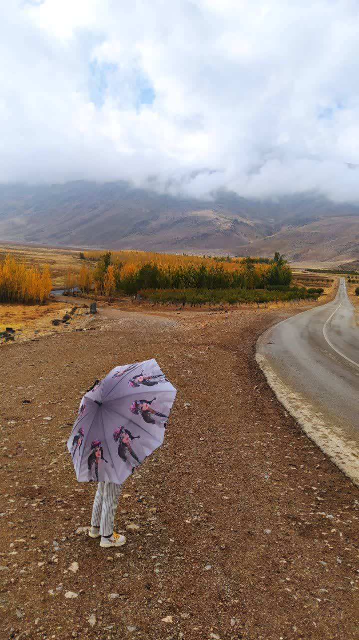 جاده زیبا در تالاب گندمان