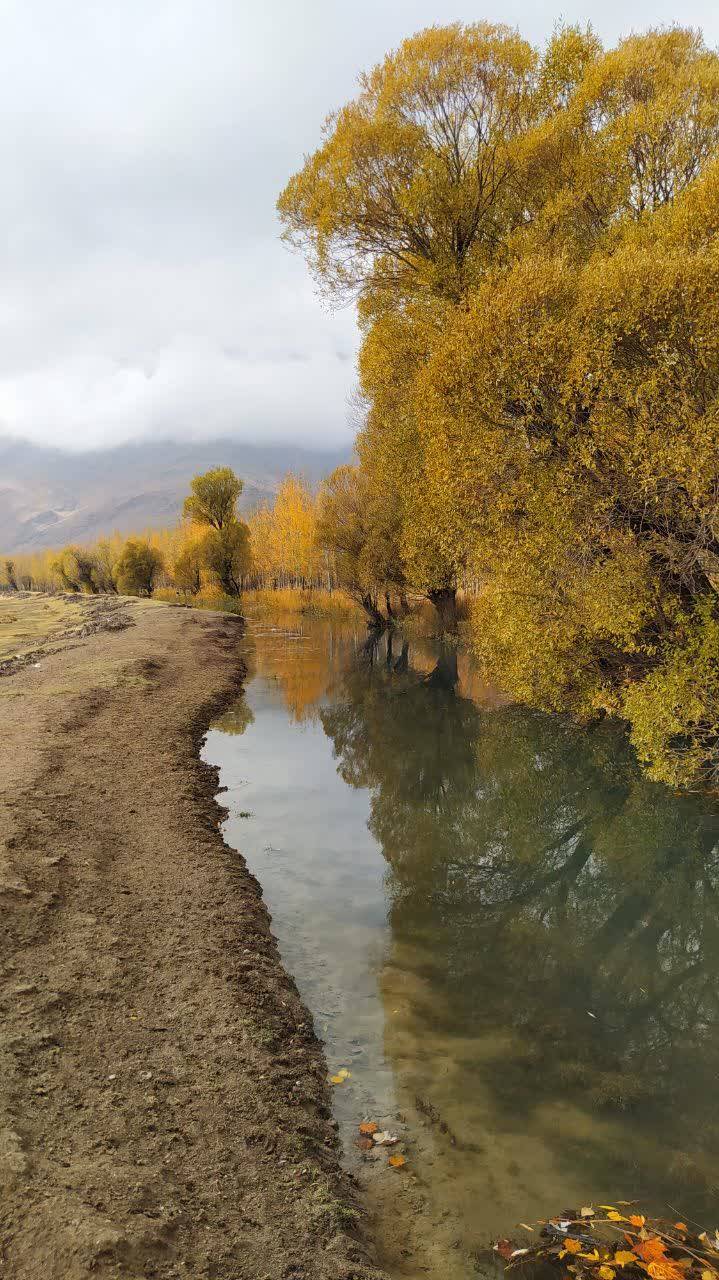 طبیعت بکر تالاب گندمان