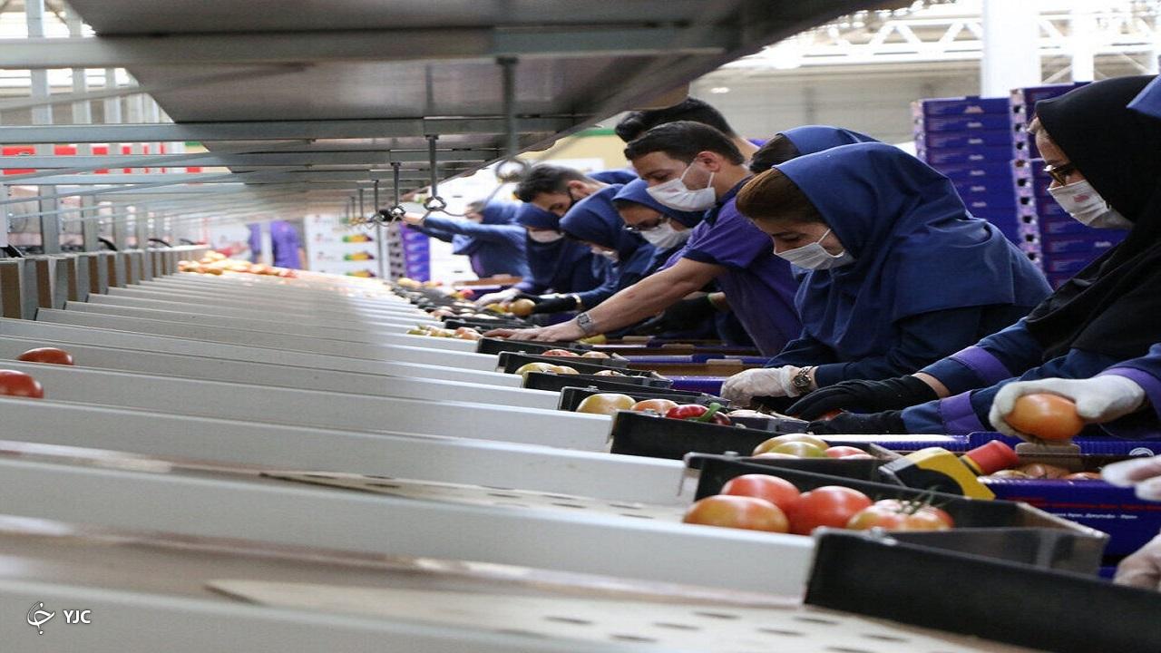 ۶۱ درصد تعهد اشتغال امسال در آذربایجان‌غربی محقق شد