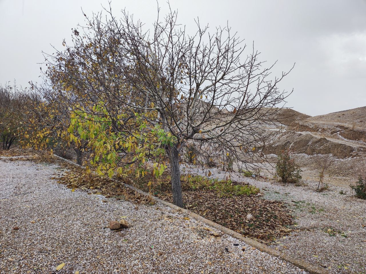 طبیعت پاییزی